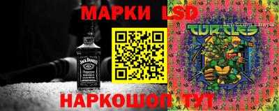 прущие грибы Дмитров