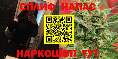 прущие грибы Дмитров