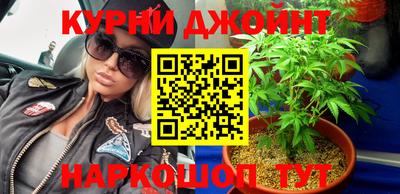 прущие грибы Дмитров