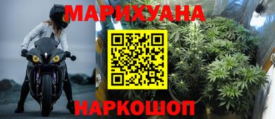 прущие грибы Дмитров